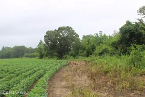 1500 Allen Corner Rd, Lamar, MS 38642 photo 15