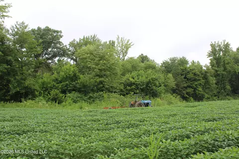 1500 Allen Corner Rd, Lamar, MS 38642 photo 13