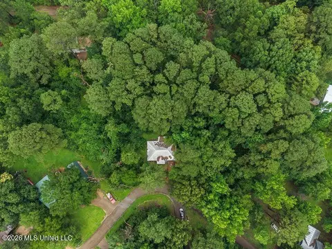 313 E Dewey Camp Dr, Florence, MS 39073 photo 4