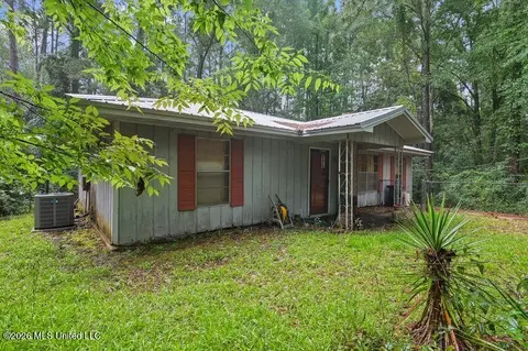 313 E Dewey Camp Dr, Florence, MS 39073 photo 2