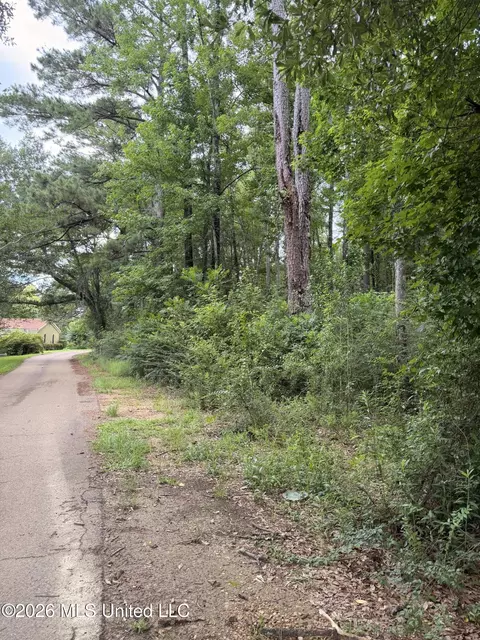 Cedar Ridge, Mccomb, MS 39648 photo 11