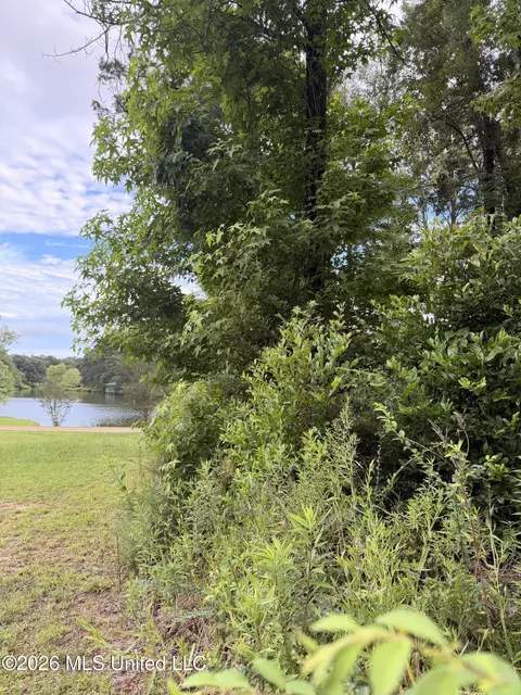 Cedar Ridge, Mccomb, MS 39648 photo 7