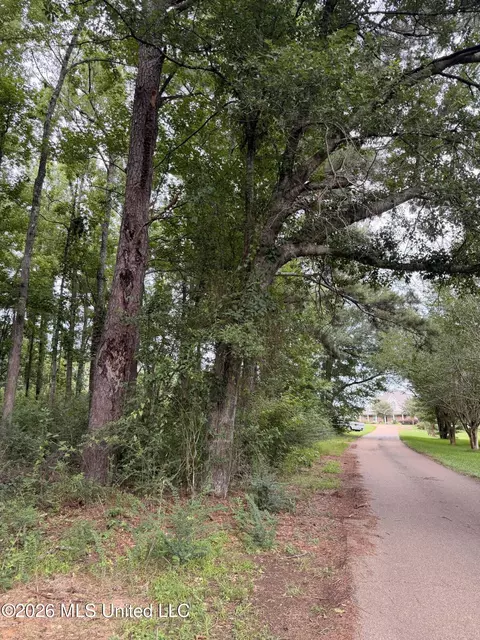 Cedar Ridge, Mccomb, MS 39648 photo 10