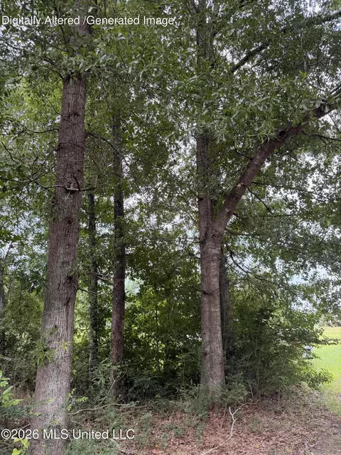 Cedar Ridge, Mccomb, MS 39648