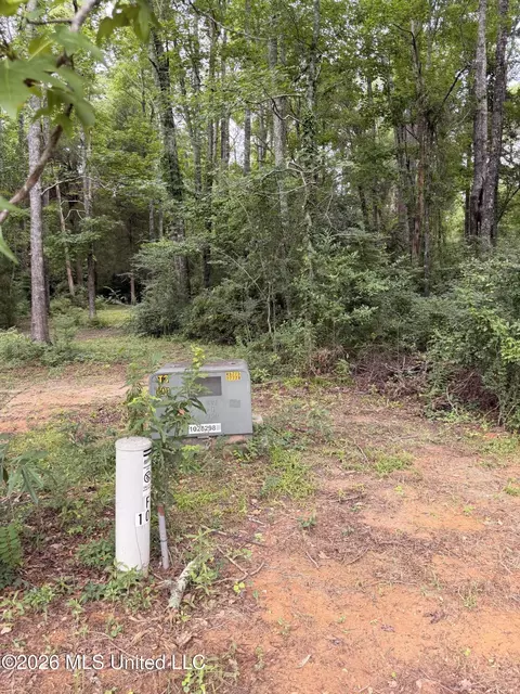 Cedar Ridge, Mccomb, MS 39648 photo 9