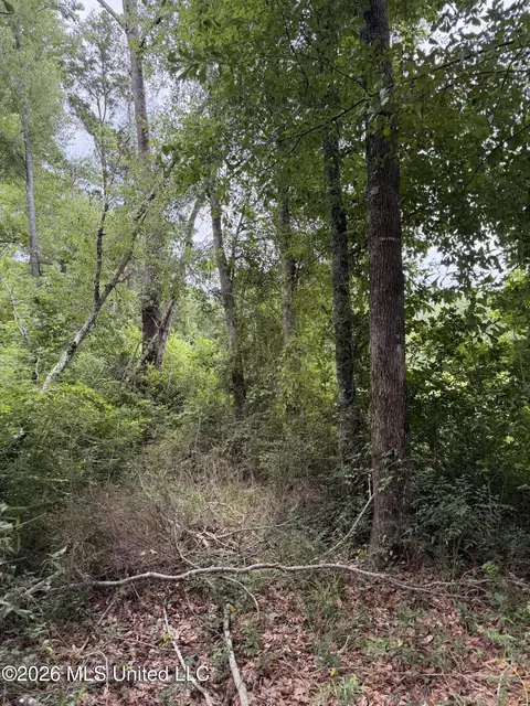 Cedar Ridge, Mccomb, MS 39648 photo 8