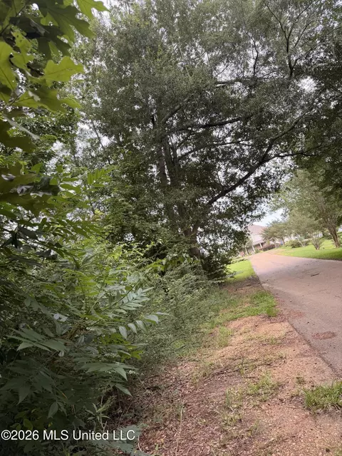 Cedar Ridge, Mccomb, MS 39648 photo 6