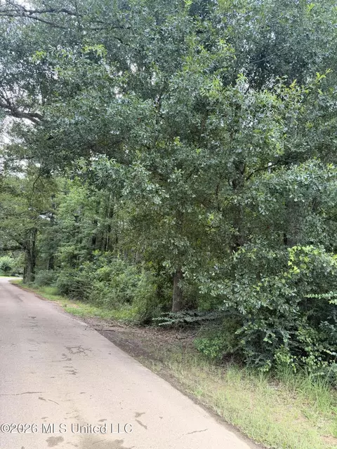 Cedar Ridge, Mccomb, MS 39648 photo 3
