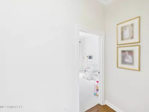 Entry Way - 207 Geneva Blvd, Madison, MS 39110 photo 4 of 5