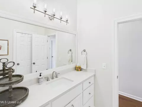 Bath - 207 Geneva Blvd, Madison, MS 39110 photo 4 of 4