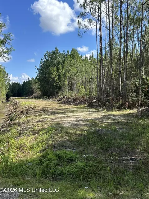 Norman, Gautier, MS 39553 photo 3