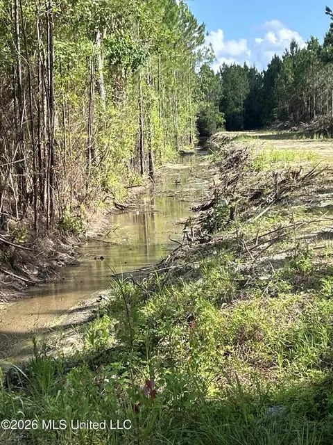Norman, Gautier, MS 39553 photo 2