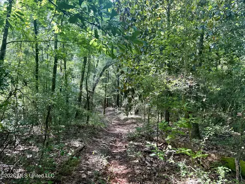 204 Mississippi 35, Raleigh, MS 39153