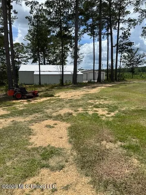 120 Eula Grayson Rd, Mendenhall, MS 39114 photo 3