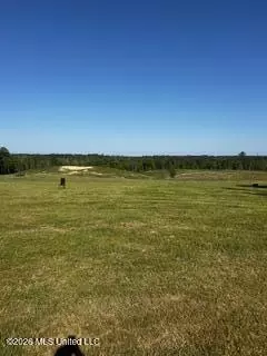 Other - 120 Eula Grayson Rd, Mendenhall, MS 39114 photo 14 of 17