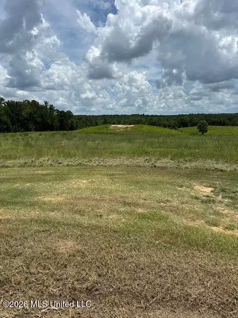 120 Eula Grayson Rd, Mendenhall, MS 39114 photo 1