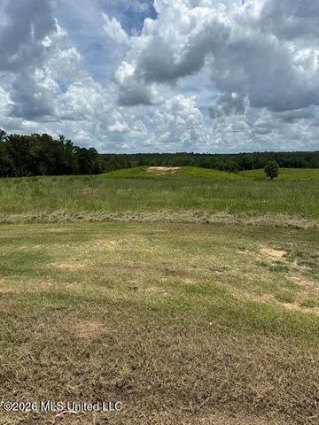 120 Eula Grayson Rd, Mendenhall, MS 39114