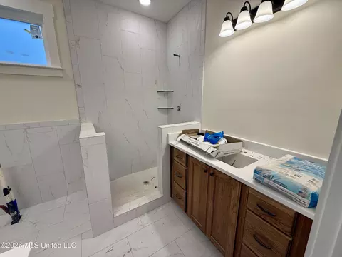 Bath - 825 E Quitman Ct, Nesbit, MS 38651 photo 1 of 2