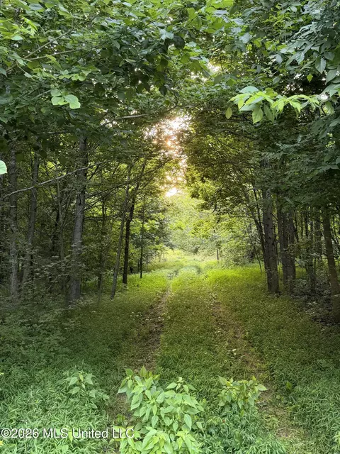 2000 Sparks Rd, Lake Cormorant, MS 38641