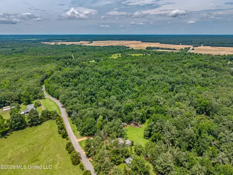 View/Area - 2139 Cold Springs Rd, Sardis, MS 38666 photo 3 of 8