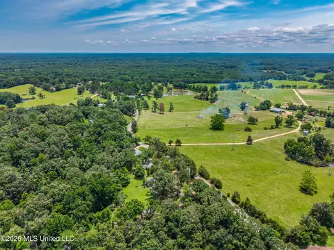 View/Area - 2139 Cold Springs Rd, Sardis, MS 38666 photo 6 of 8