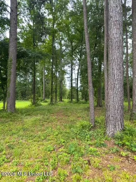 Ms-471, Brandon, MS 39047 photo 3
