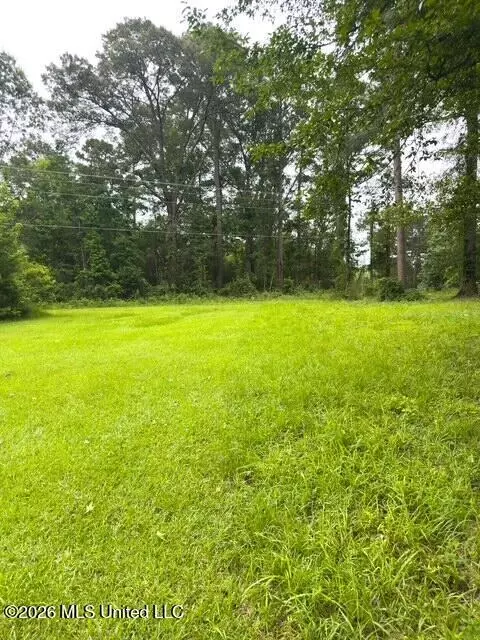 Ms-471, Brandon, MS 39047 photo 4
