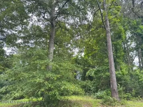 Ms-471, Brandon, MS 39047 photo 8