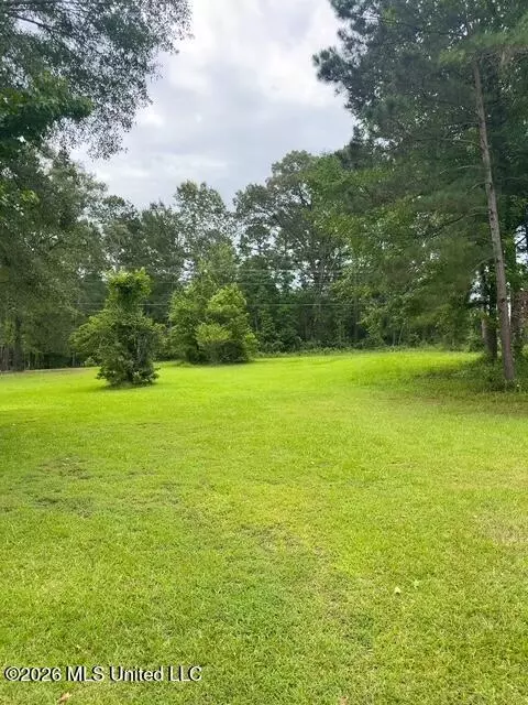 Ms-471, Brandon, MS 39047 photo 2
