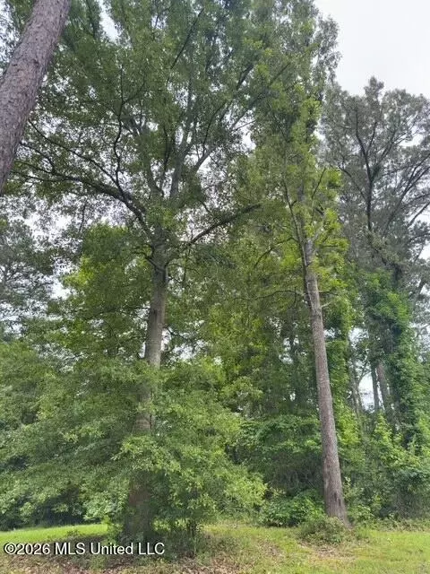 Ms-471, Brandon, MS 39047 photo 9