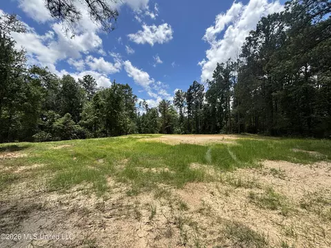 Stump Road, Crosby, MS 39633 photo 36