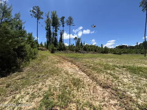 Stump Road, Crosby, MS 39633 photo 3