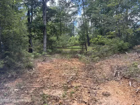 Stump Road, Crosby, MS 39633 photo 30