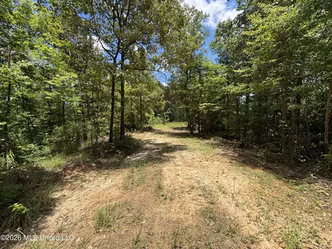 Stump Road, Crosby, MS 39633 photo 35