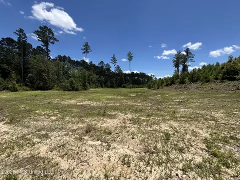 Stump Road, Crosby, MS 39633 photo 9