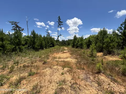 Stump Road, Crosby, MS 39633 photo 10