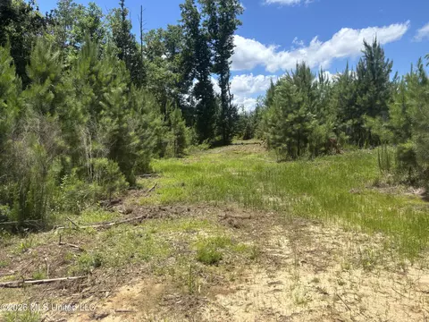 Stump Road, Crosby, MS 39633 photo 13