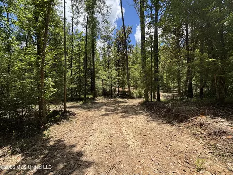 Stump Road, Crosby, MS 39633 photo 28