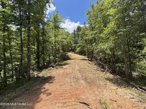 Stump Road, Crosby, MS 39633 photo 29
