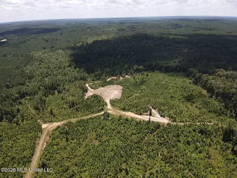 Stump Road, Crosby, MS 39633 photo 19
