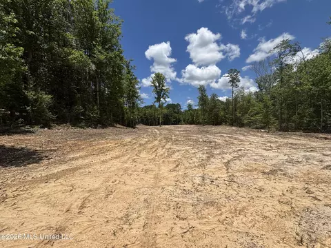 Stump Road, Crosby, MS 39633 photo 39