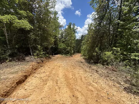 Stump Road, Crosby, MS 39633 photo 41