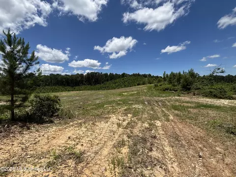 Stump Road, Crosby, MS 39633 photo 27