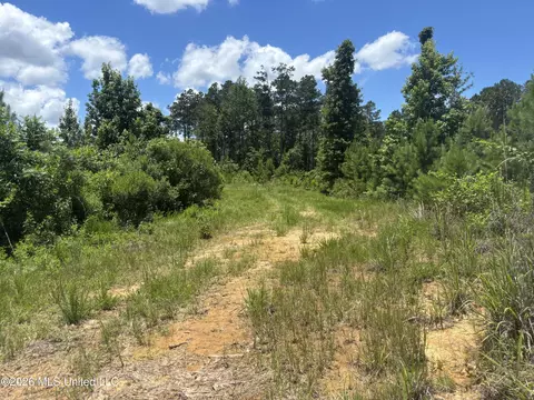 Stump Road, Crosby, MS 39633 photo 14