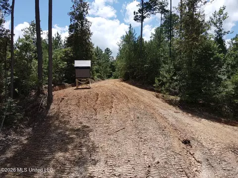 Stump Road, Crosby, MS 39633 photo 48