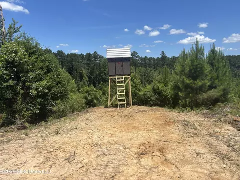 Stump Road, Crosby, MS 39633 photo 12