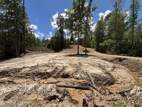 Stump Road, Crosby, MS 39633 photo 42