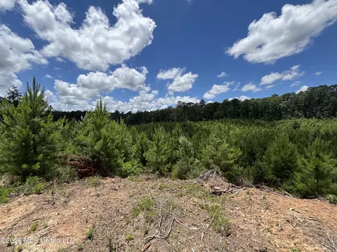 Stump Road, Crosby, MS 39633 photo 21