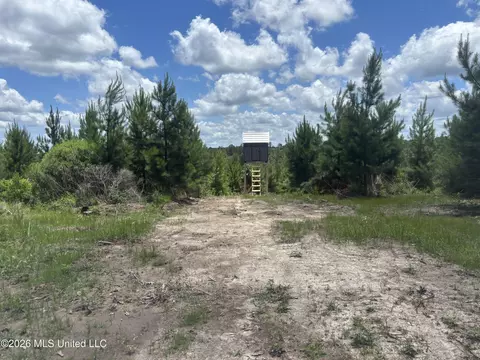 Stump Road, Crosby, MS 39633 photo 24