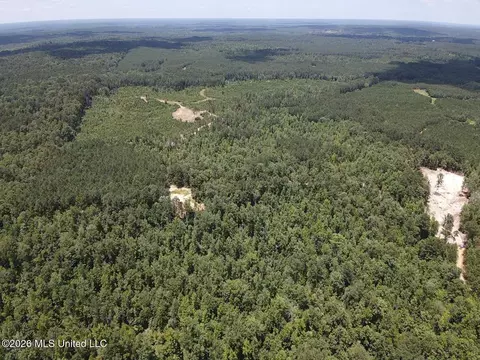 Stump Road, Crosby, MS 39633 photo 59